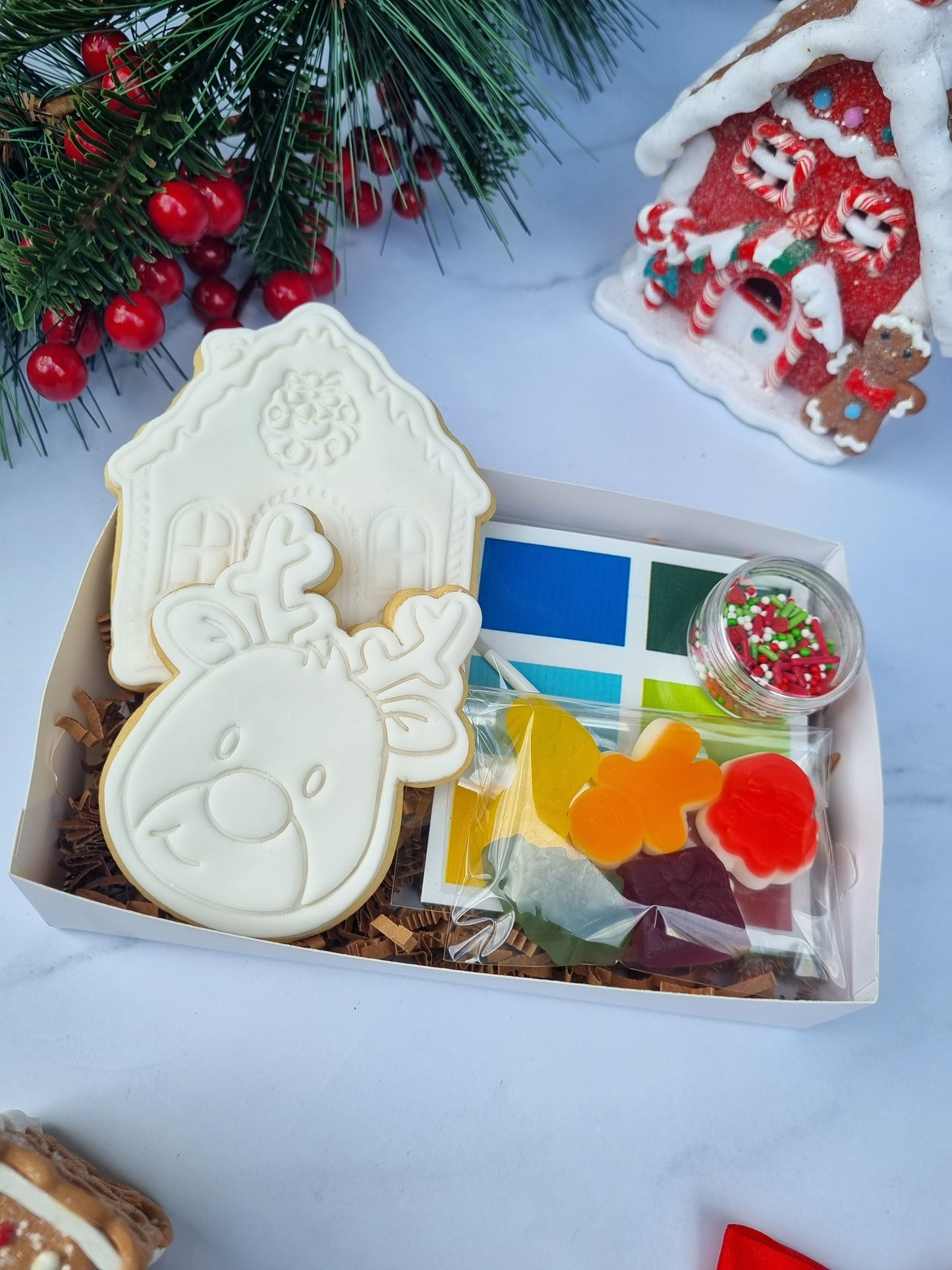 Paint and sprinkle your own cookies - Christmas deluxe pack