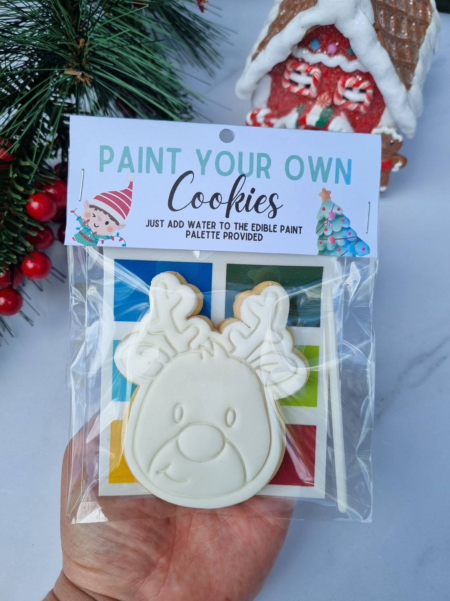 Paint your own cookie - Single pack