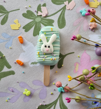 Cakesicles (Single or 5 pack)