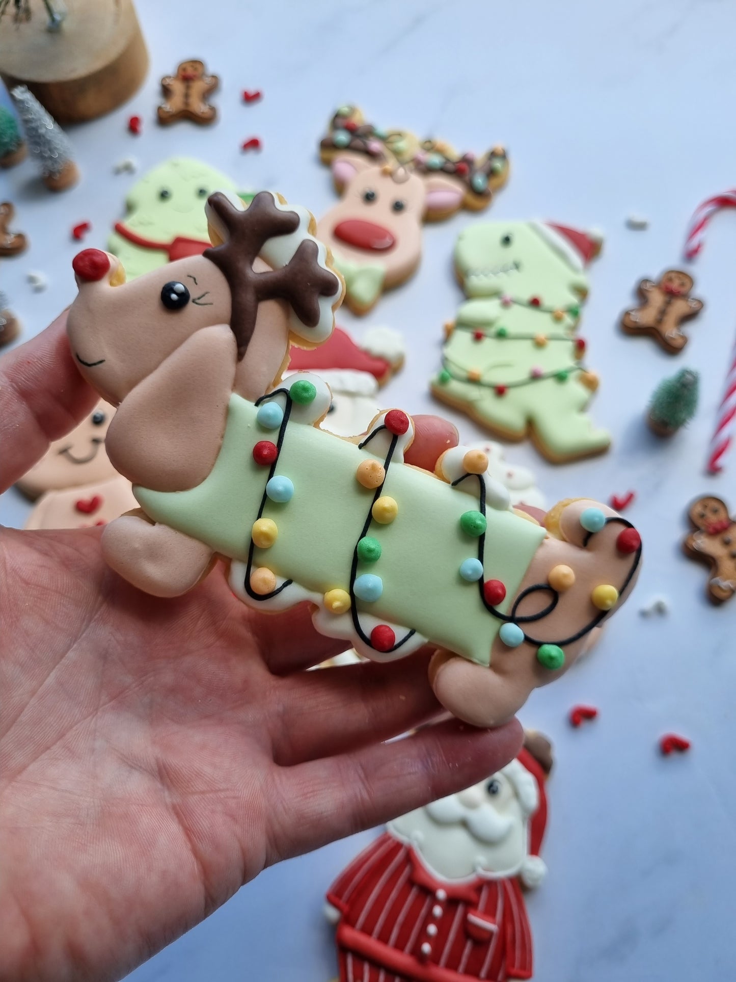 Regular size single iced cookies