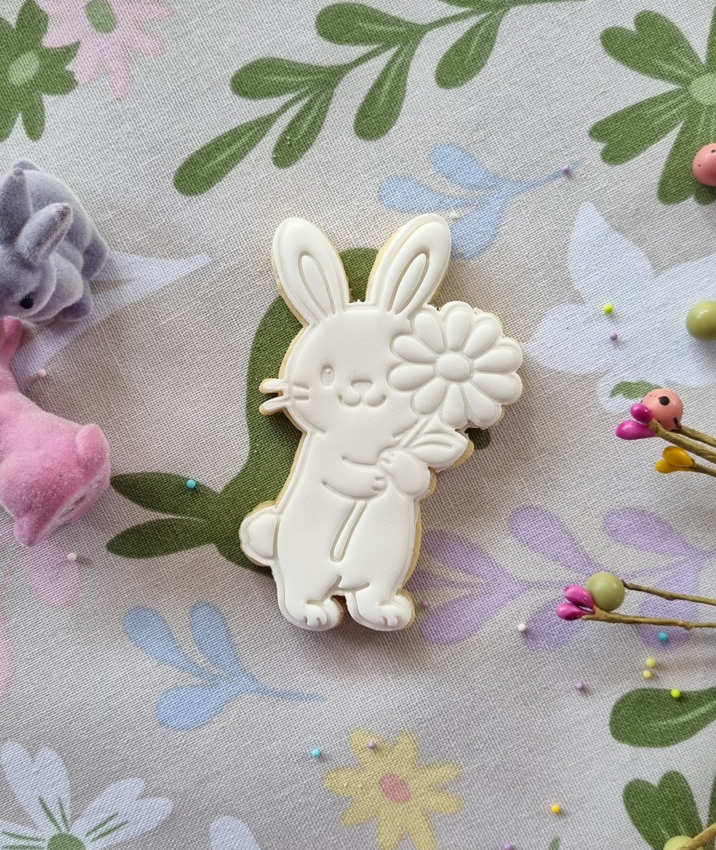 Single paint your own cookie