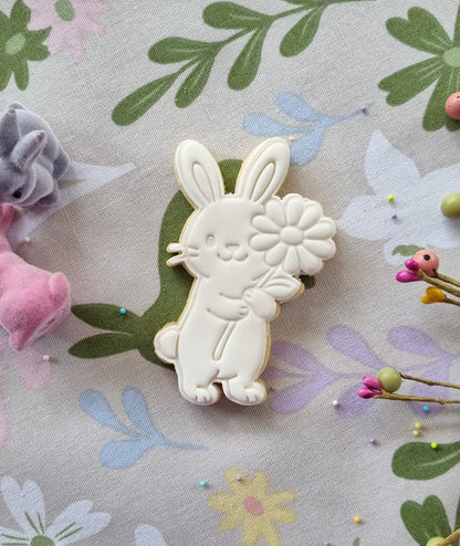 Single paint your own cookie