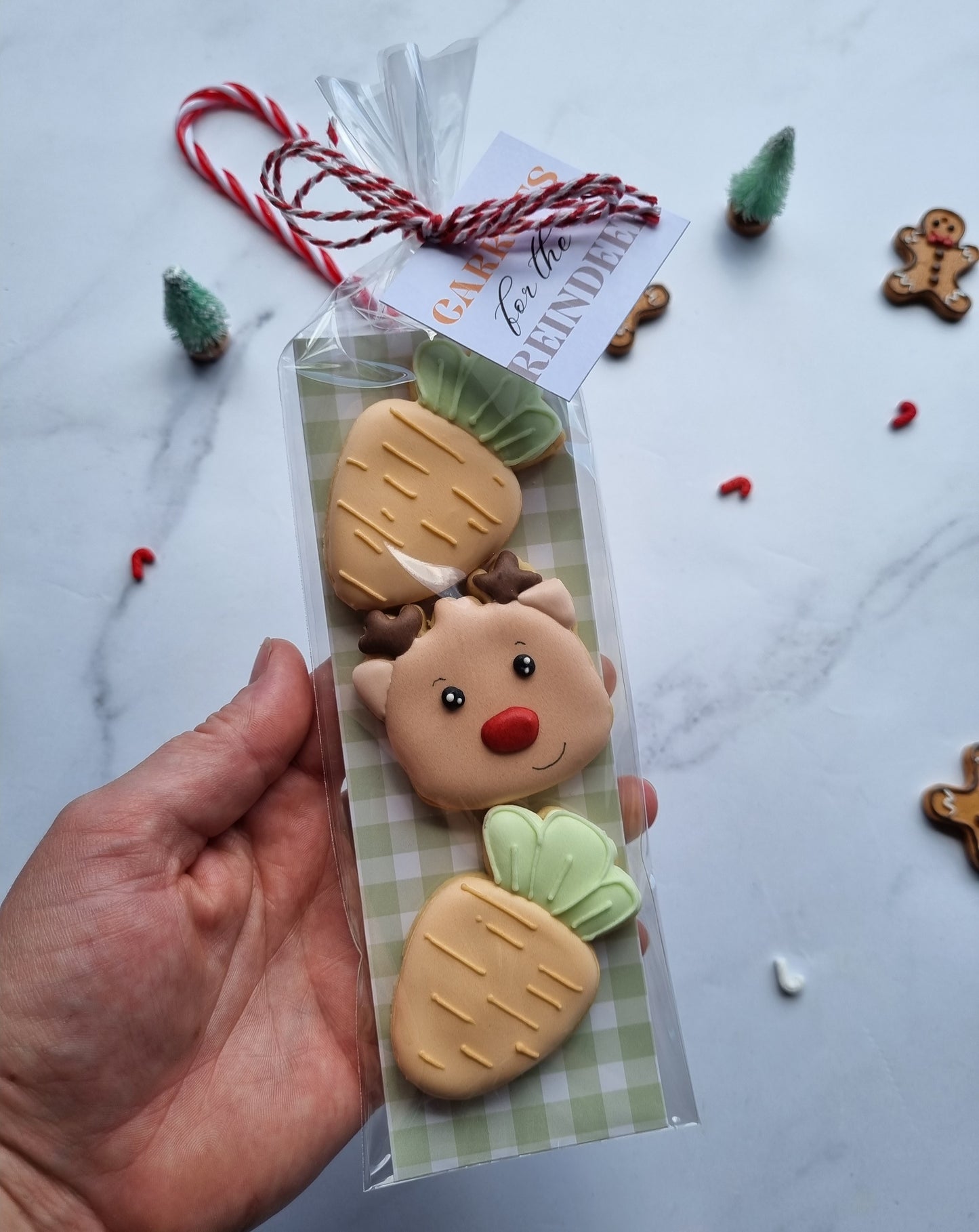 Milk & cookies for Santa and Carrots for the reindeer