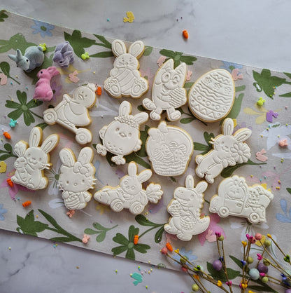 Single paint your own cookie