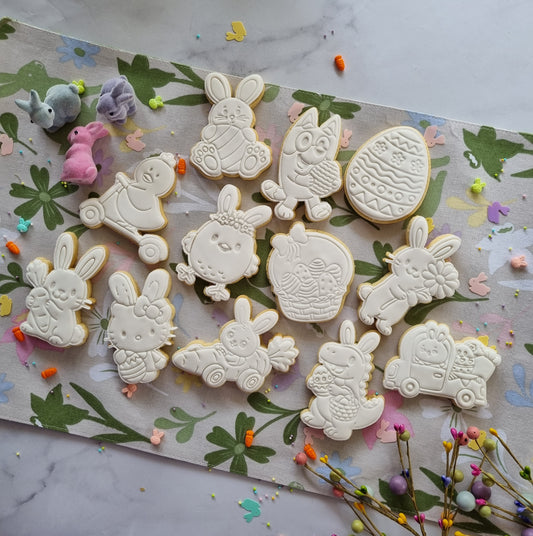 Single paint your own cookie