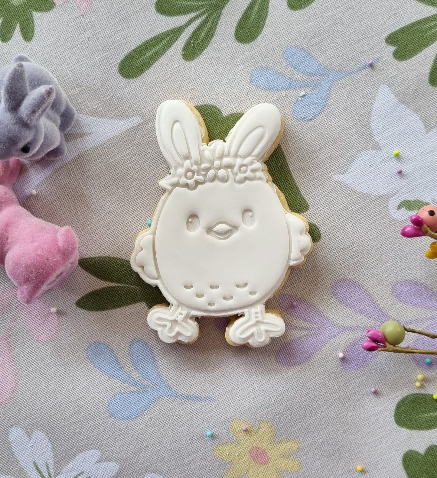 Single paint your own cookie