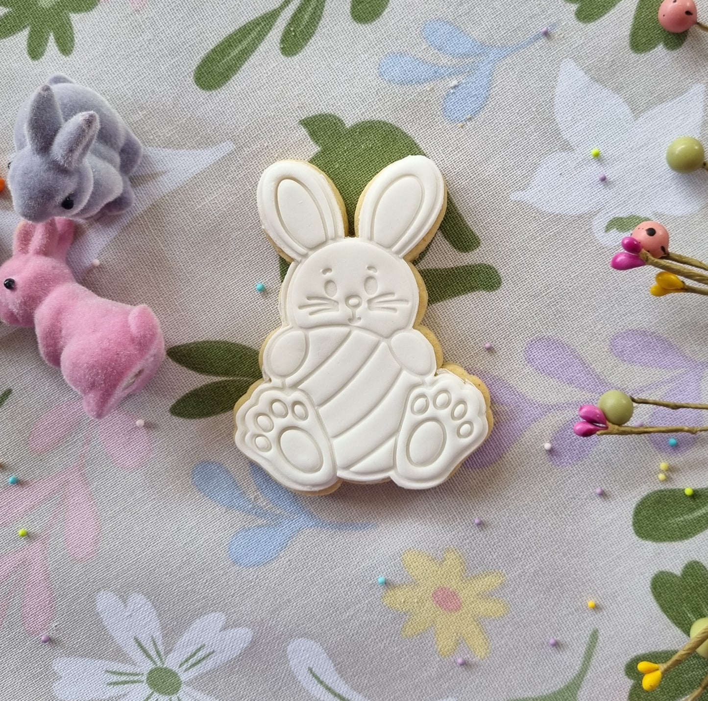 Single paint your own cookie