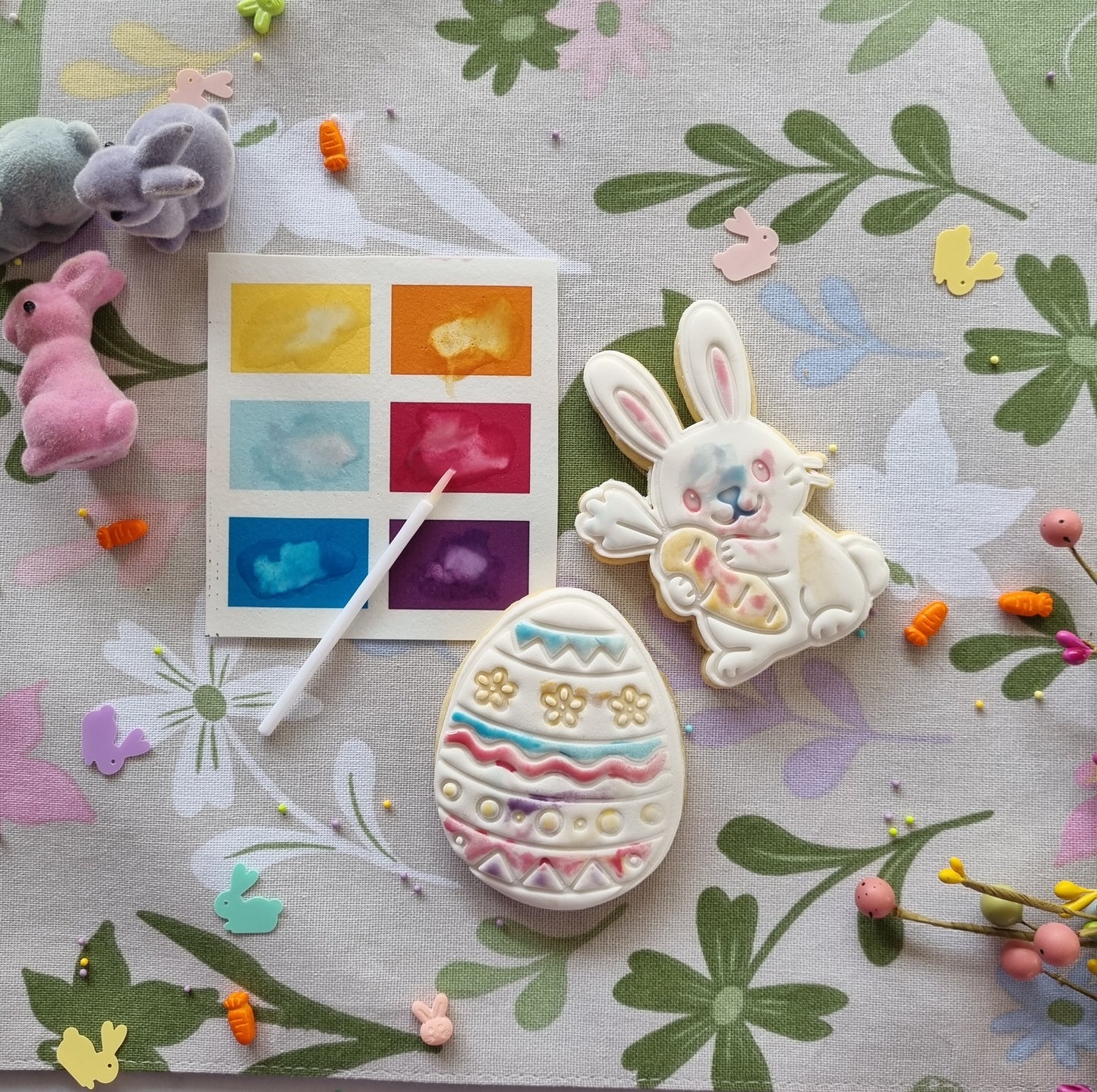 Single paint your own cookie