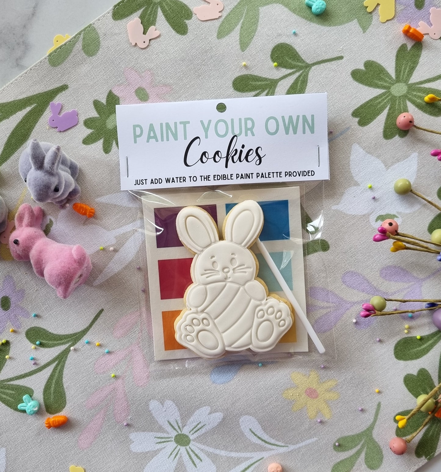 Single paint your own cookie