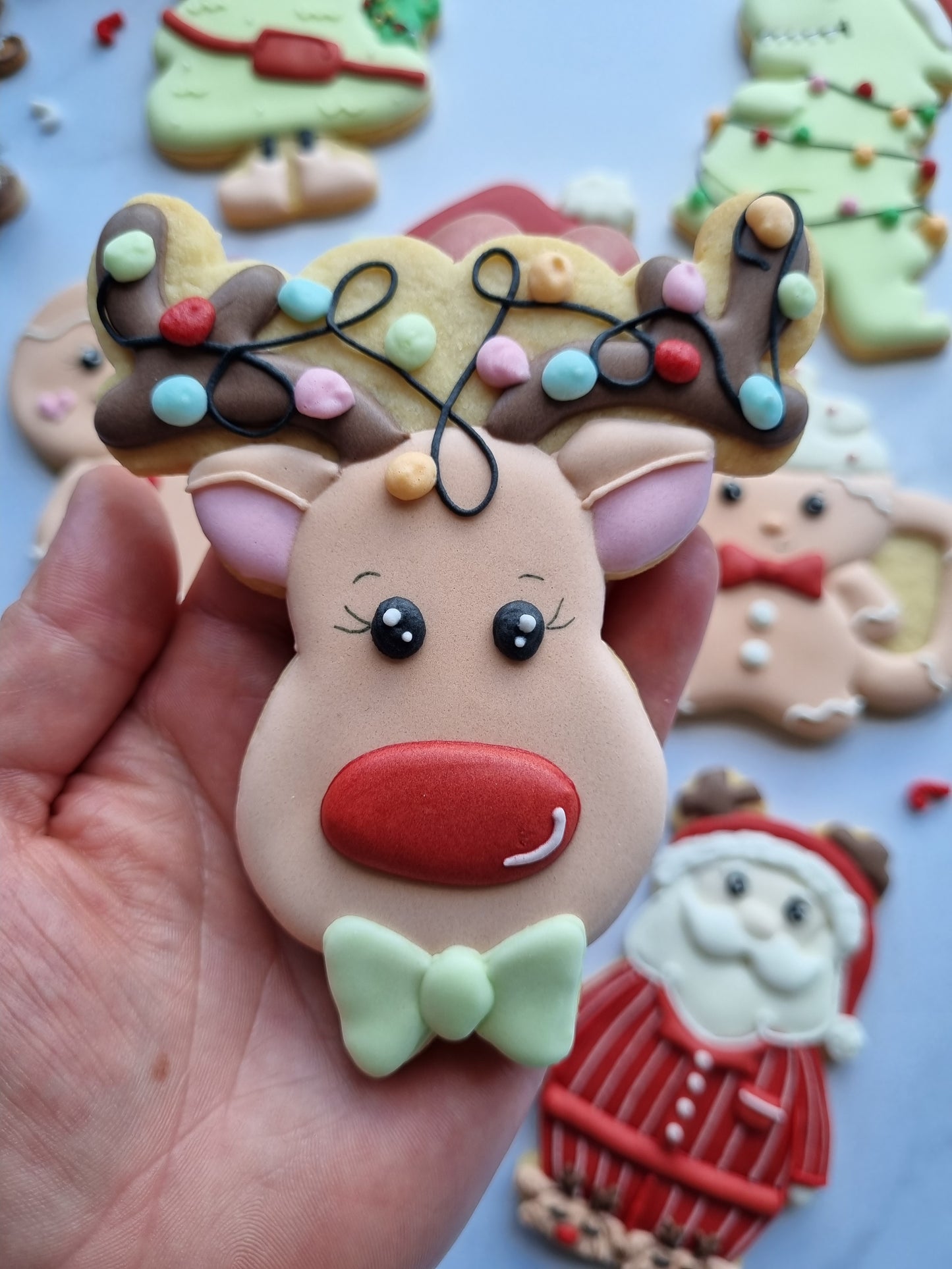 Regular size single iced cookies