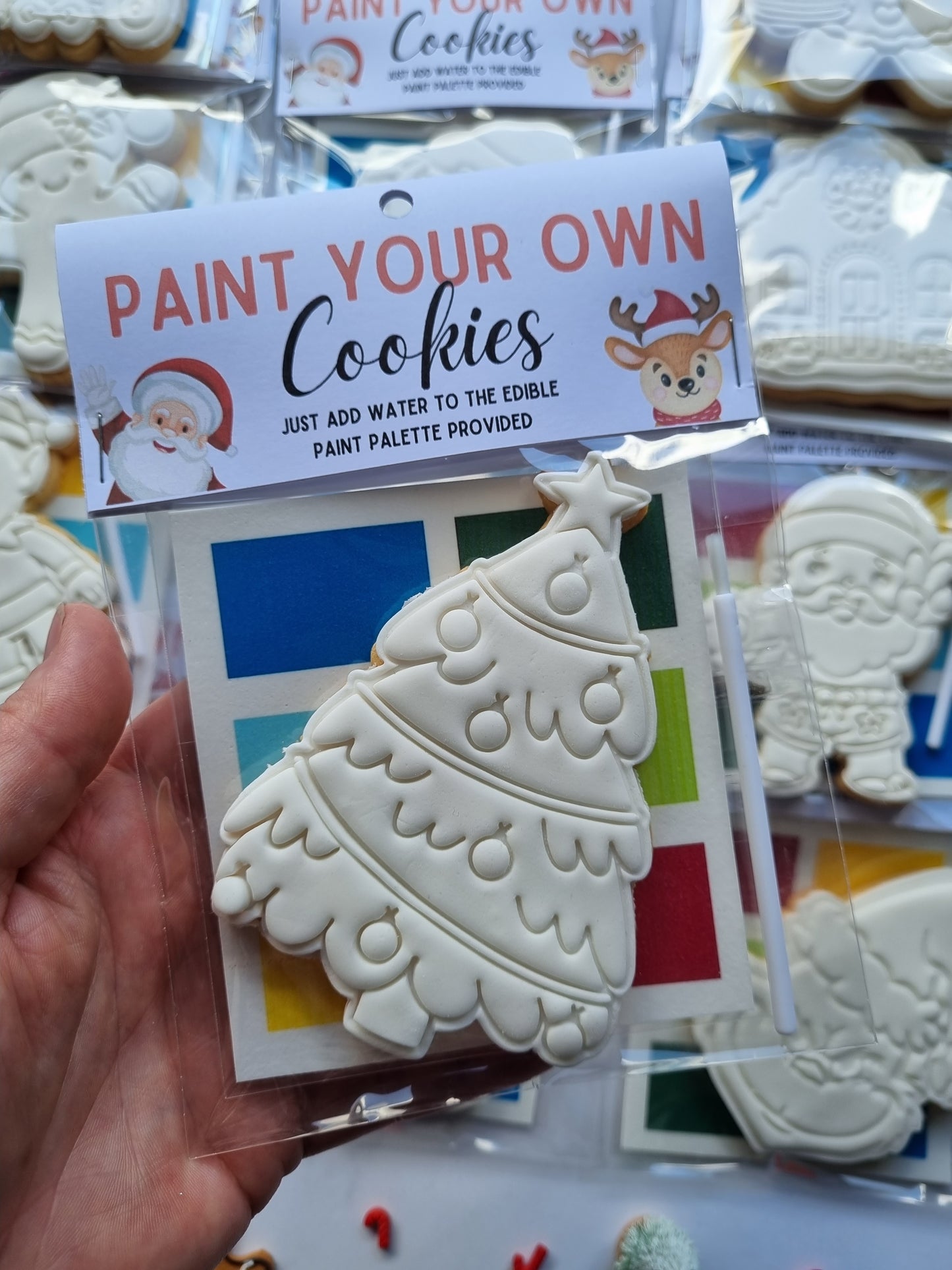 Paint your own cookie - Single pack