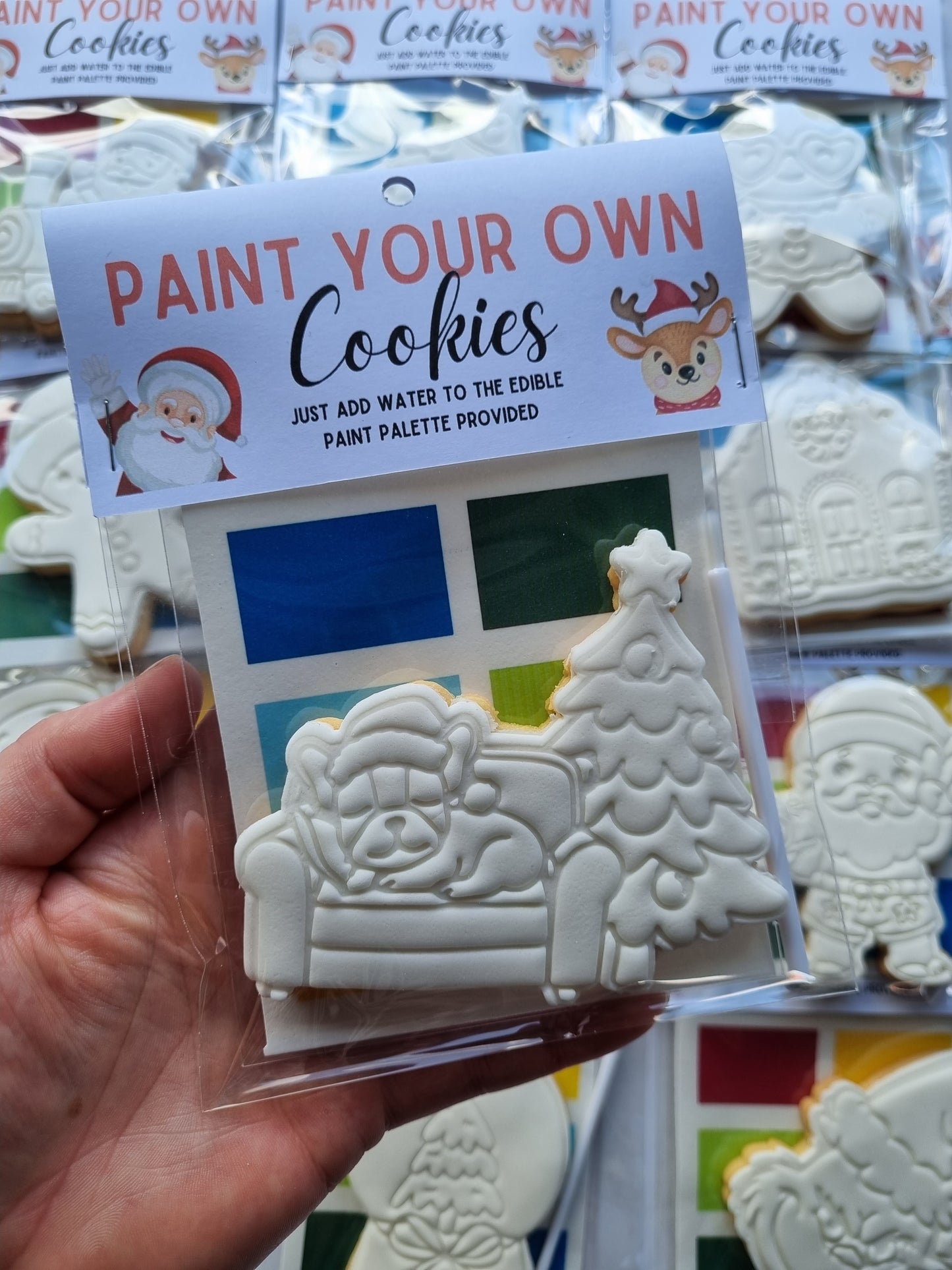 Paint your own cookie - Single pack