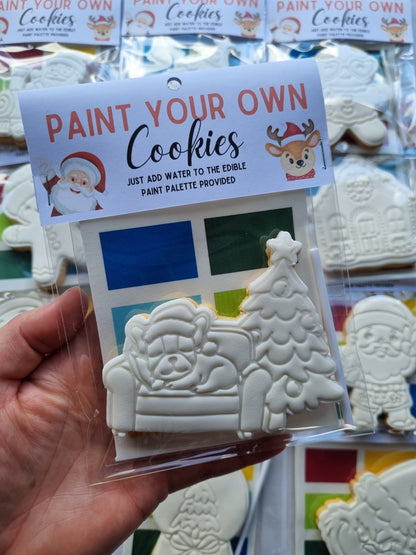 Paint your own cookie - Single pack