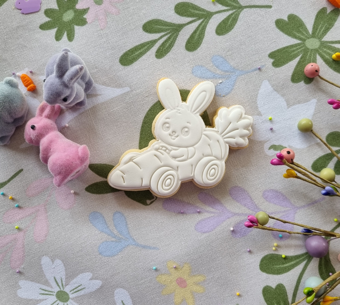 Single paint your own cookie