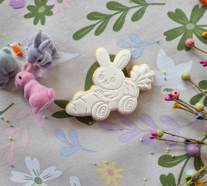 Single paint your own cookie