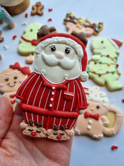 Regular size single iced cookies