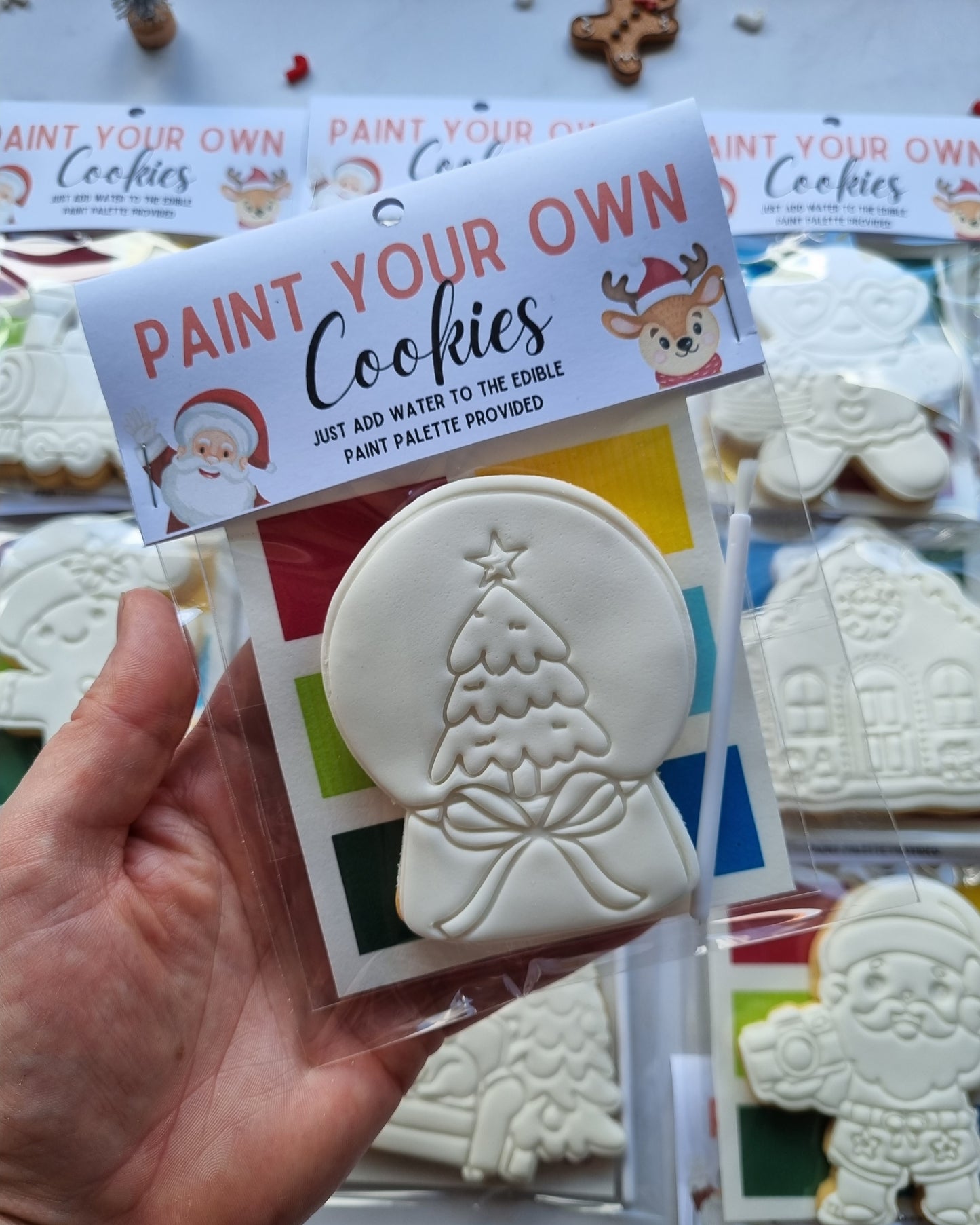 Paint your own cookie - Single pack