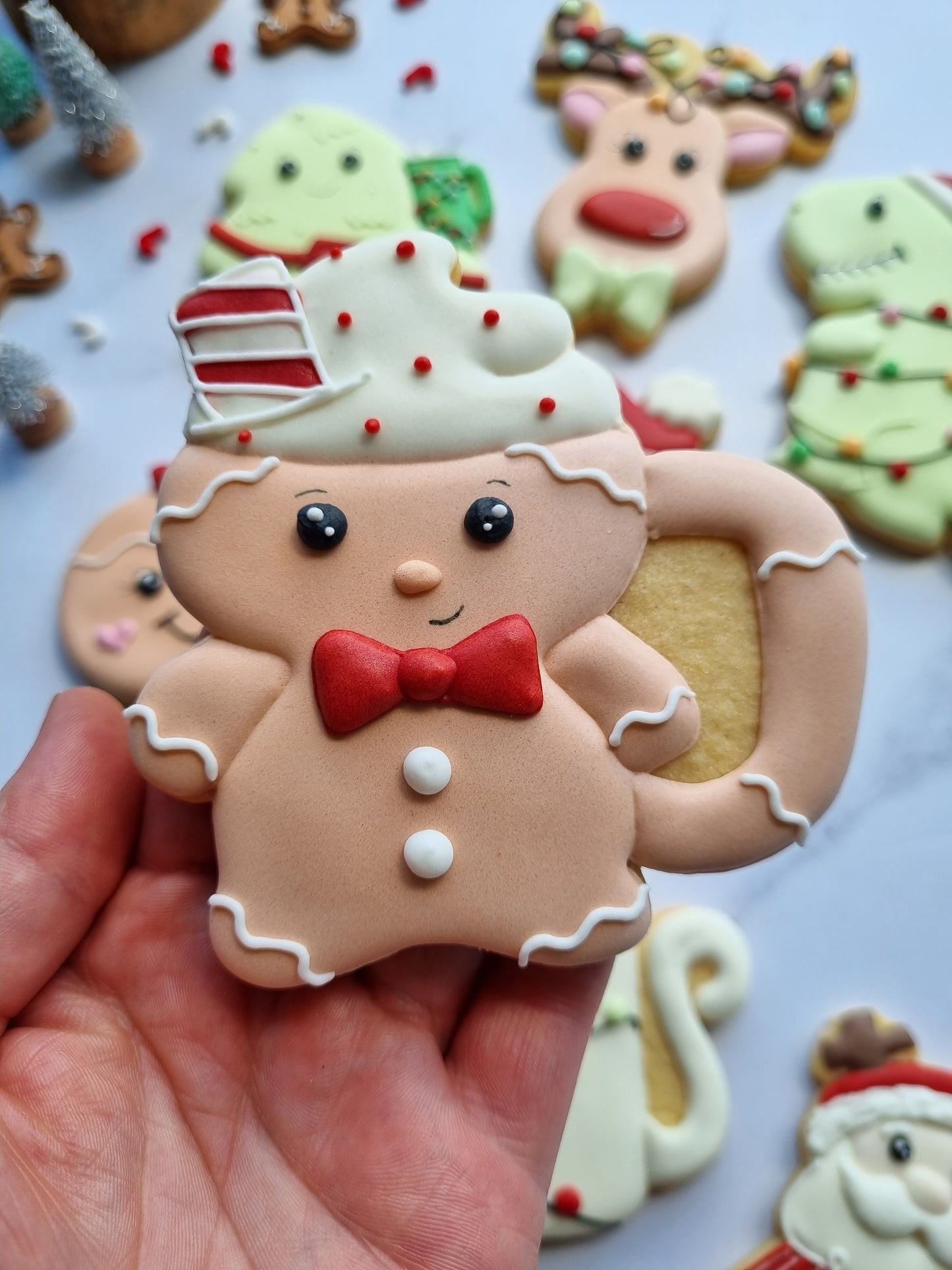 Regular size single iced cookies