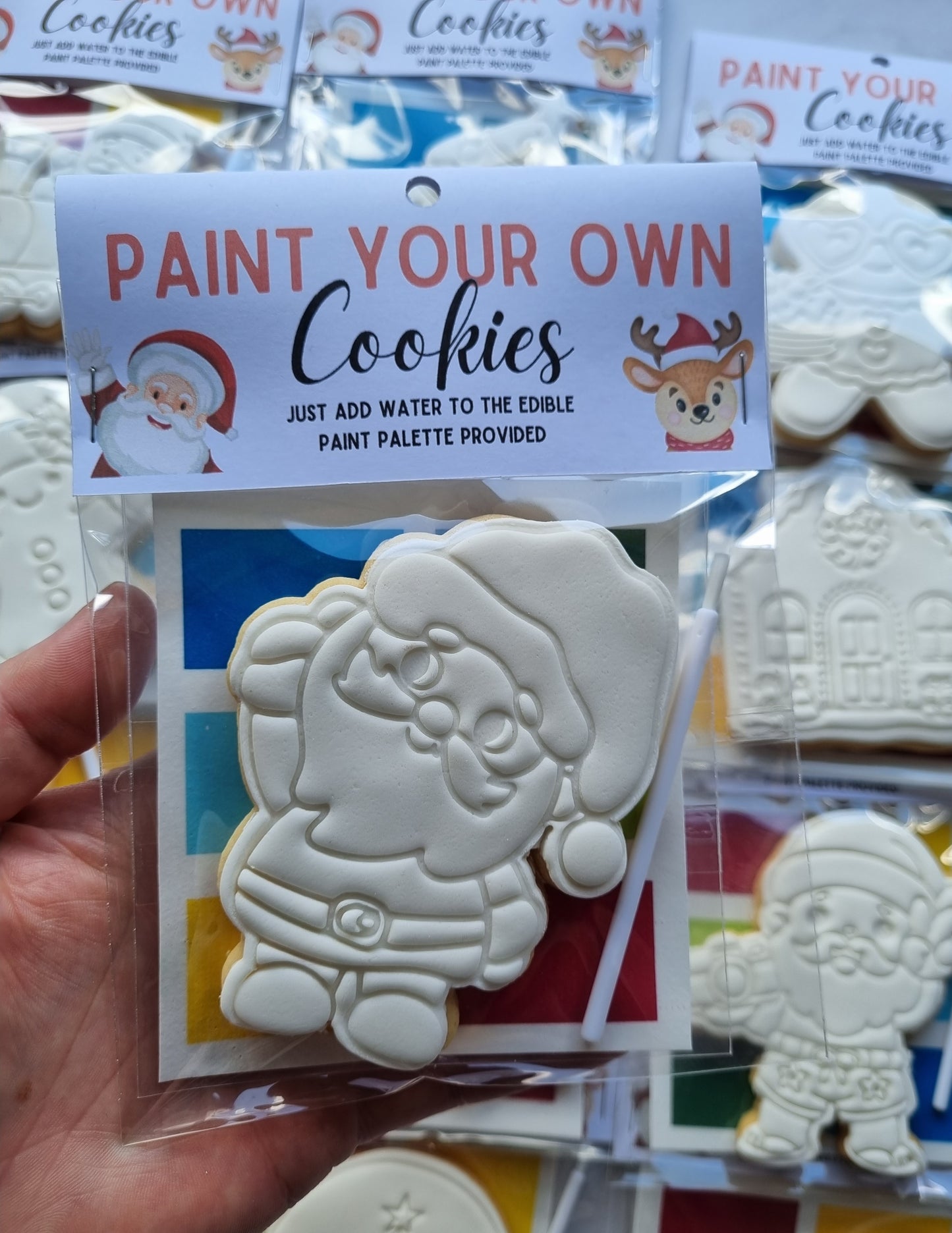 Paint your own cookie - Single pack