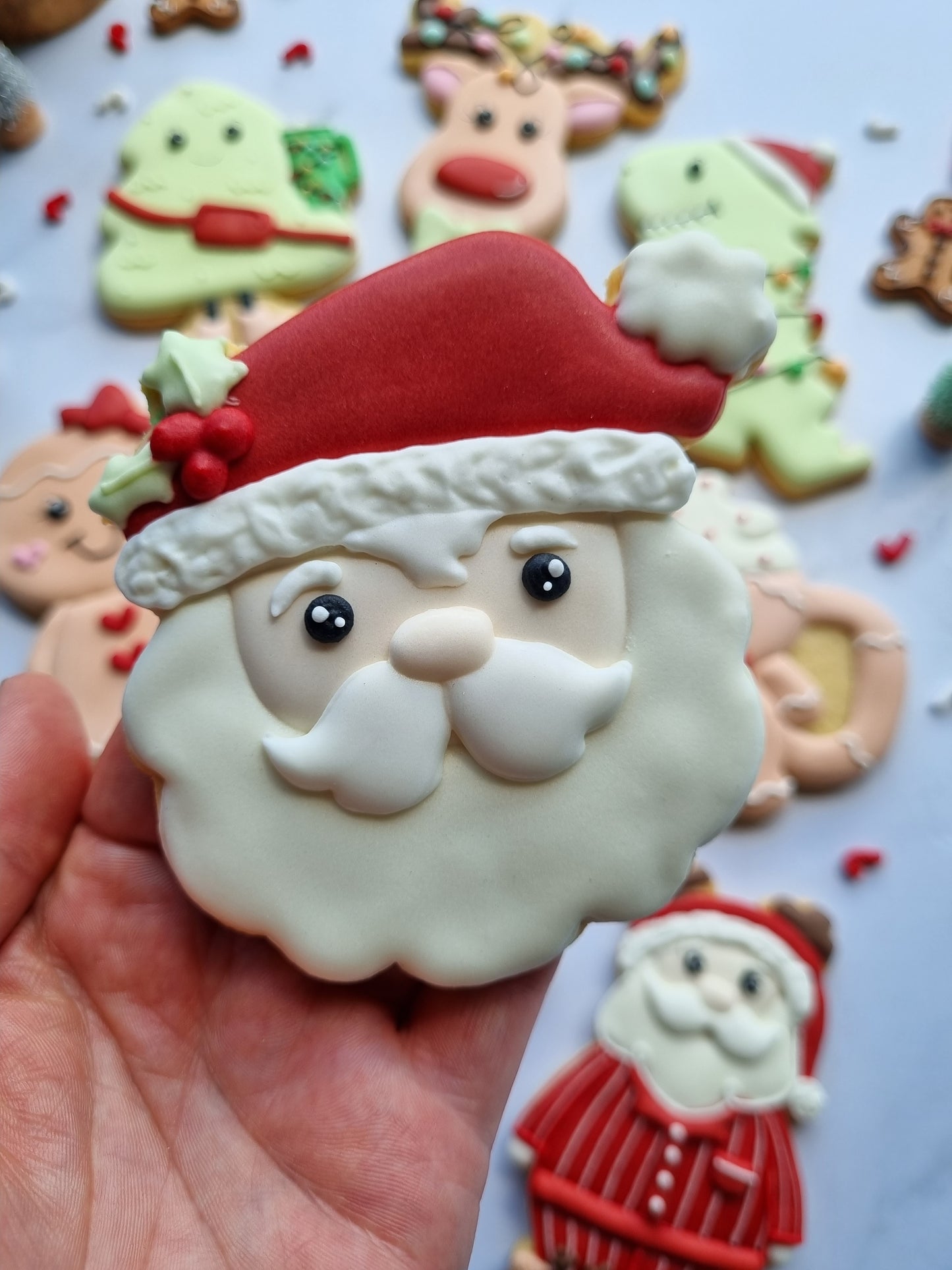 Regular size single iced cookies