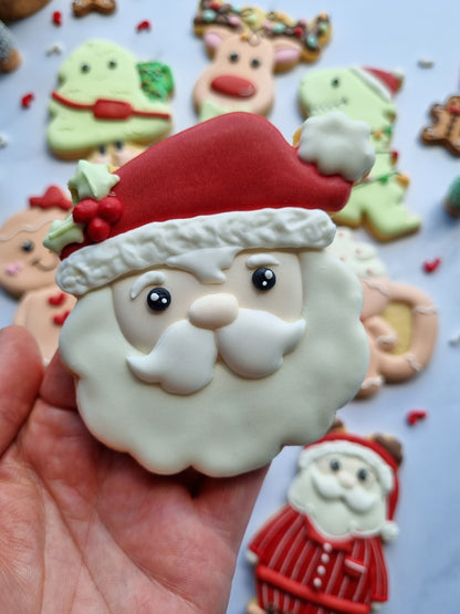 Regular size single iced cookies