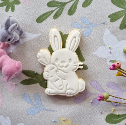 Single paint your own cookie