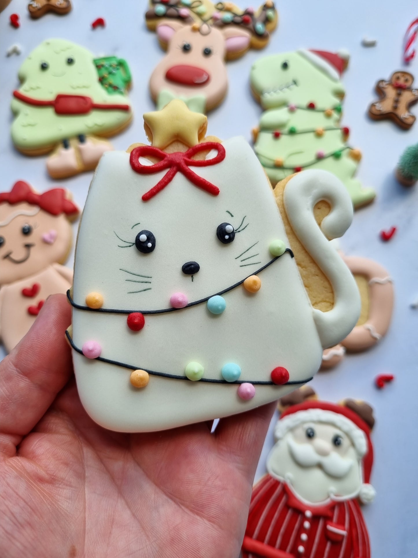 Regular size single iced cookies