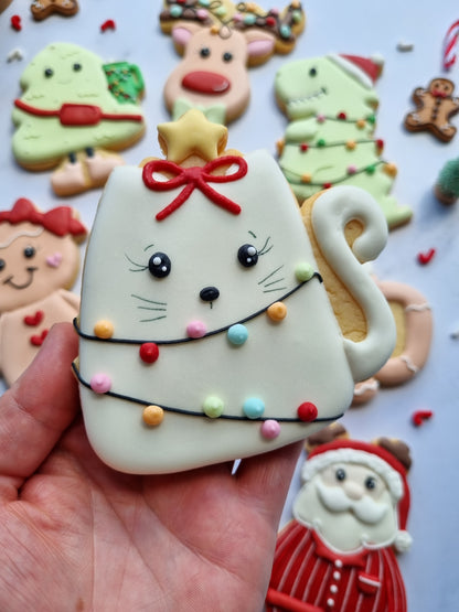 Regular size single iced cookies